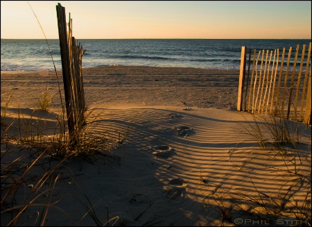 Frankie's Footprints