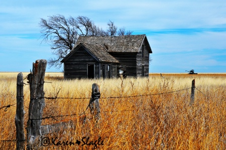 Lonesome Prairie