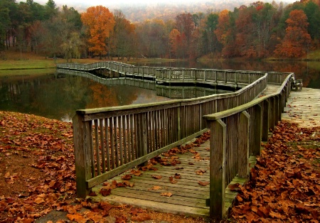 Autumn Bridge