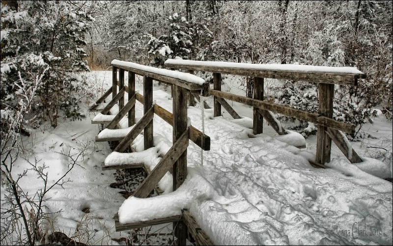 ~ SNOW BRIDGE ~