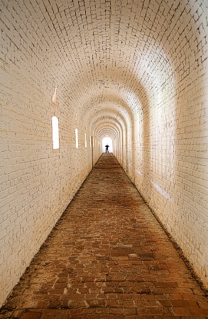 Tunnel of Light