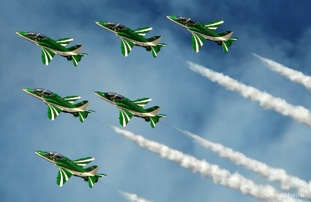 Saudi Hawks