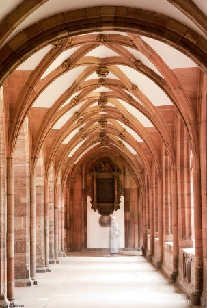 my basel 005 - The Münster Cloister