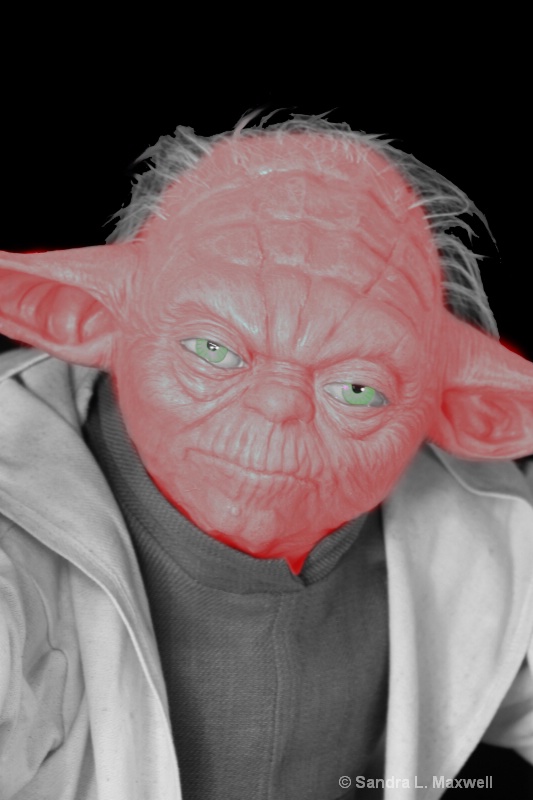 Yoda meets Yodi