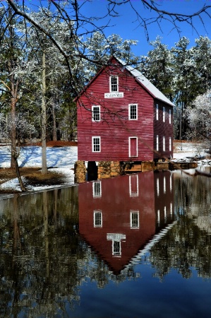 ~Starr's Mill~