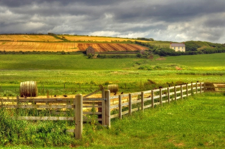 Farm and Field...Ballinspittle