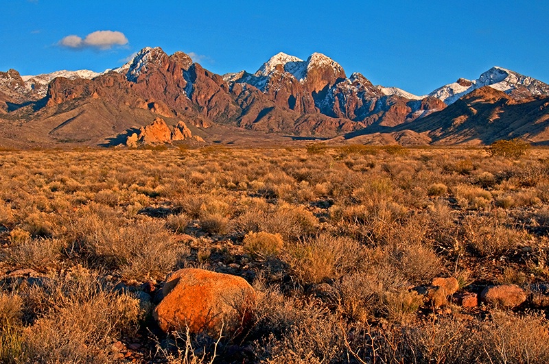 Desert Evening