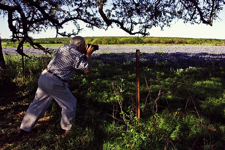 Bluebonnet Photographer