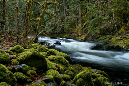 River rapid revised