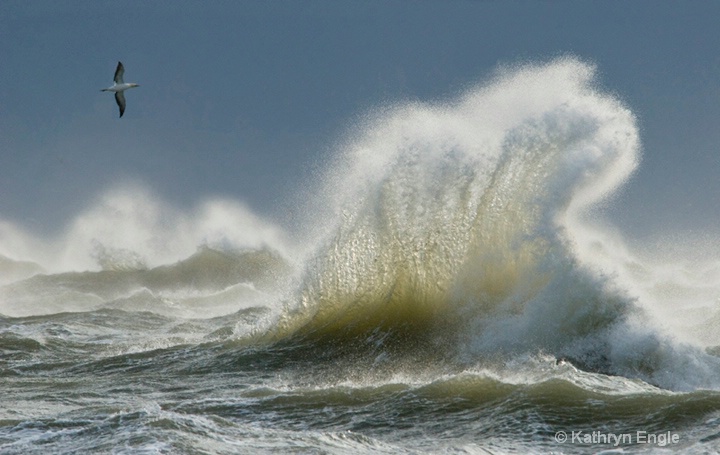 Cape Hattaras Wave