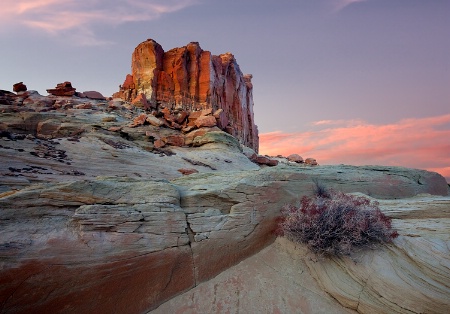 Stud  Horse Point