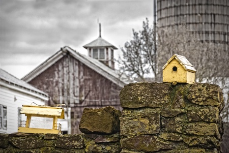 This Housing Market is for the Birds