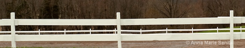 100328 Rhythm Fence Posts