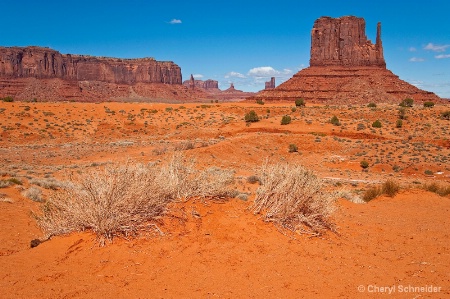 Monument Valley II