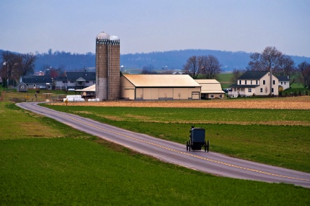 Country Life