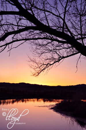 Twilight on the Water