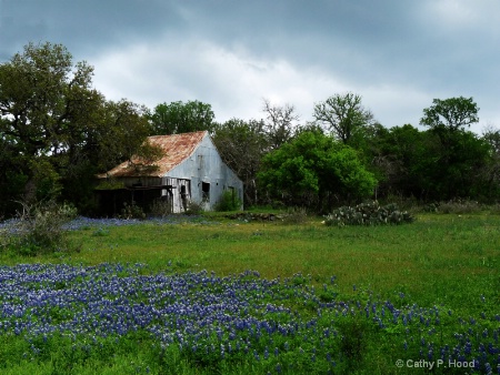 Old Barn