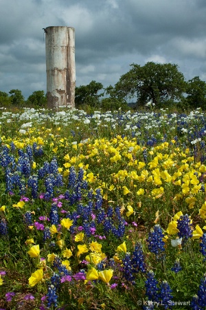 The Old Water Tower