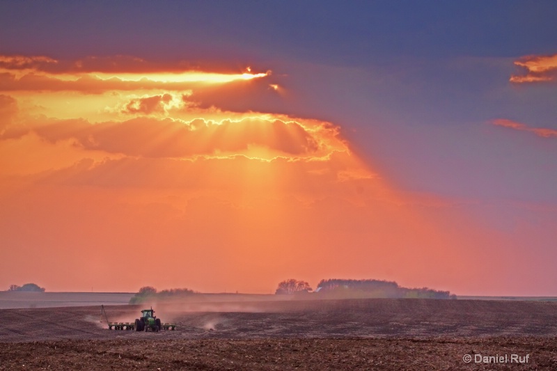 Planting The Heartland