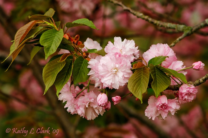 On a Spring Day