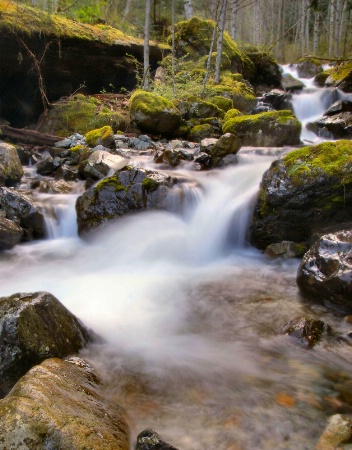 Upper No Trail Creek