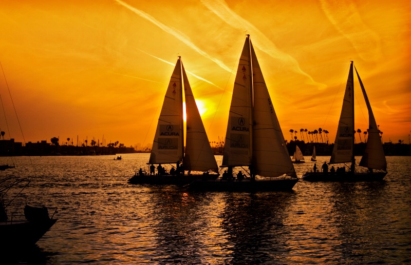 Sailboats Racing at Alamitos Bay