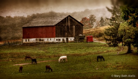 Red Truck by the Barn