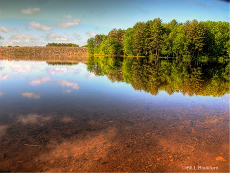 LAKE REFLECTIONS