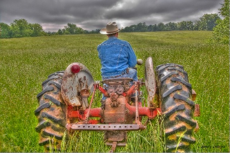 Down on the farm