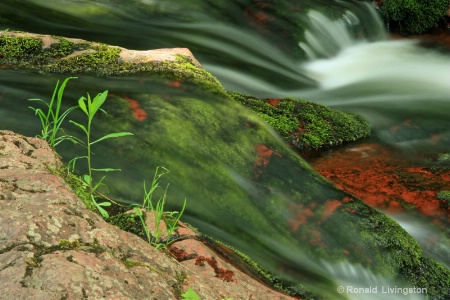 Spring Cascade