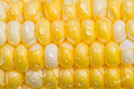 CORN