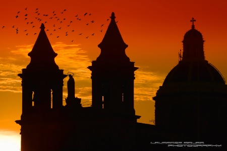 Flight of the Doves