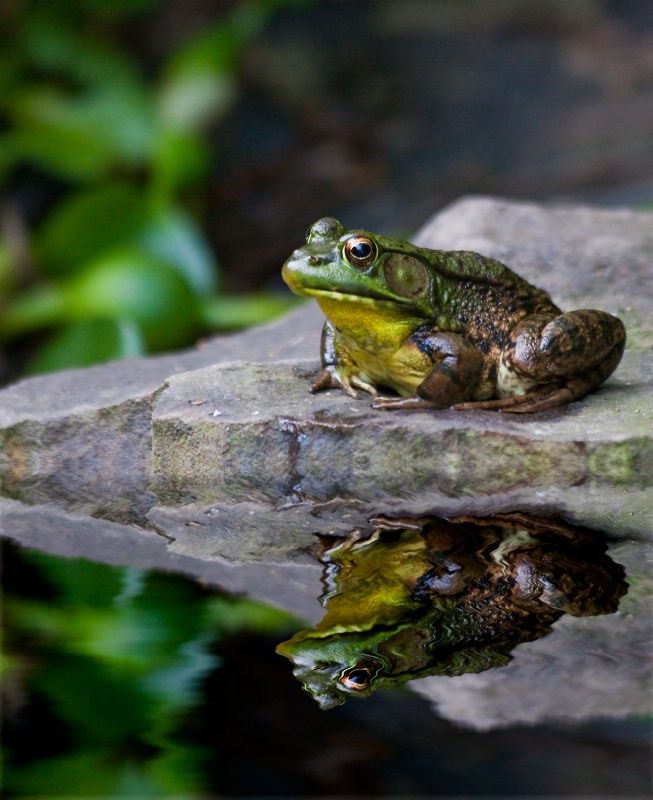 Time for Reflection