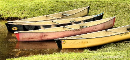 Canoes1