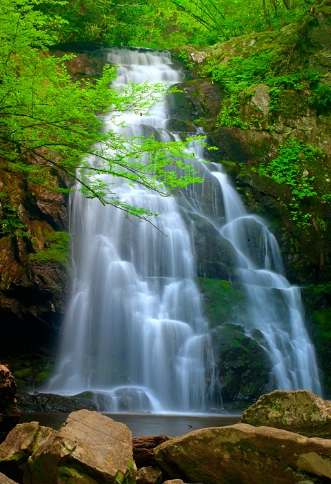 Spruce Flats Falls, Smoky Mountains