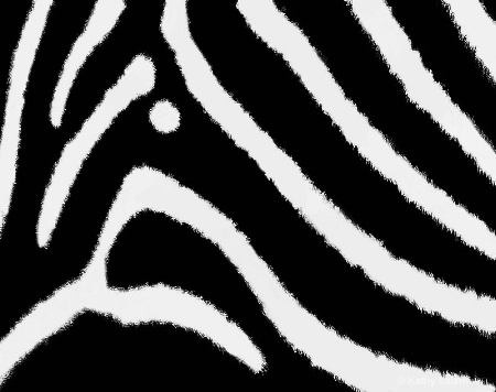 Zebra Blueprint