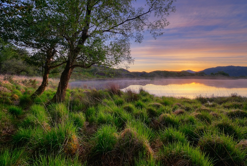 Grassy Pond