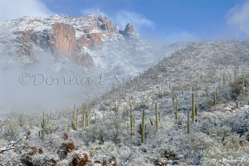 Snow on Pusch Ridge