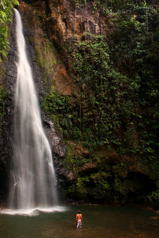 Syndicate Falls in Dominica