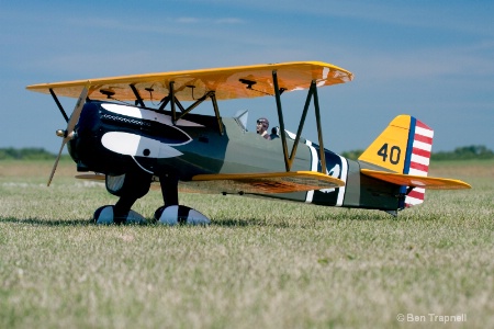 Curtis P6E "Hawk"