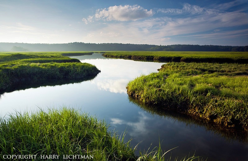 Rye Marsh - Sultry Afternoon