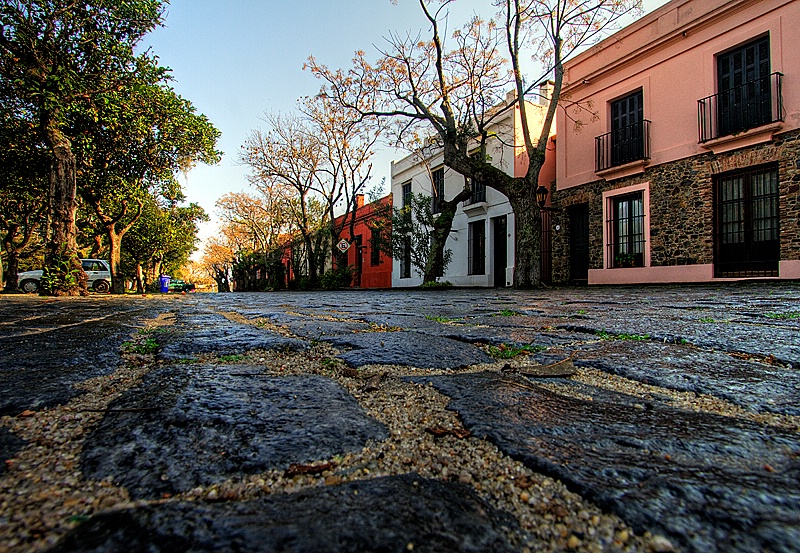 Ants eye view of Colonia