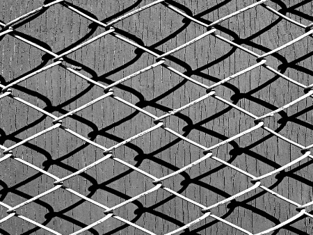 Fence and Shadow