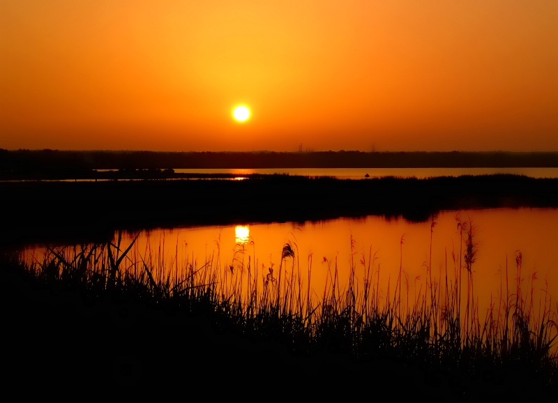 Escambia River Sunrise 2