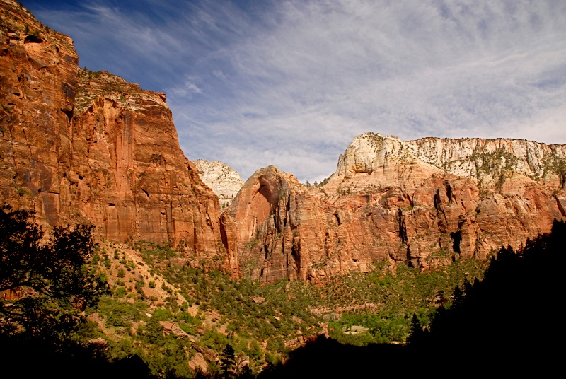 Zion Nat'l Park