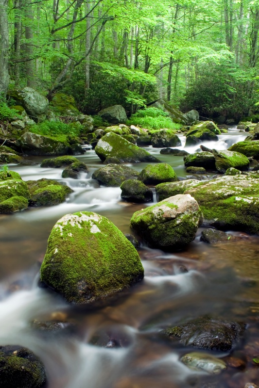 flowing stream