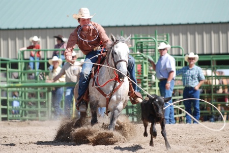 Calf Roping