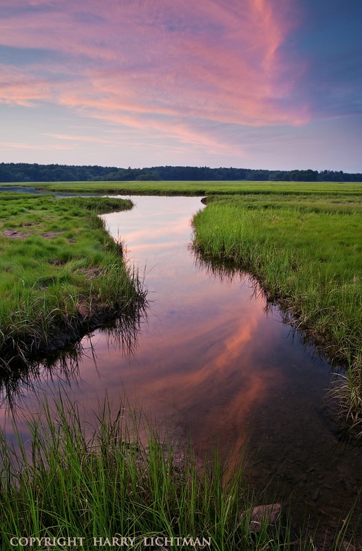 Tranquility Marsh