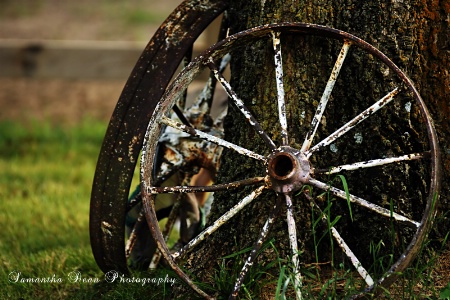 Wagon Wheels