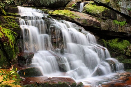 Lower Falls